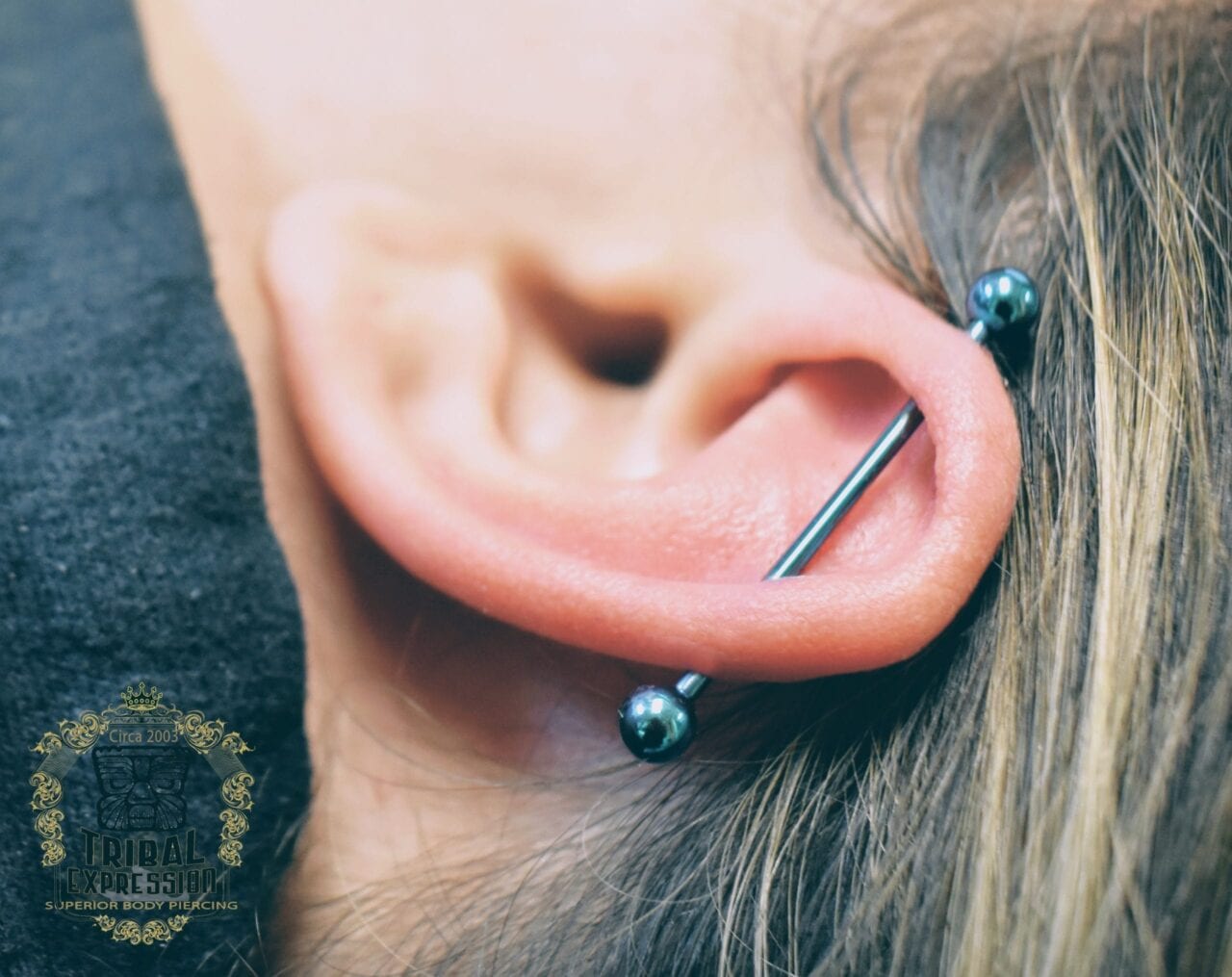 Overhead photo of a client lying down showing a classic industrial piercing with a blue anodized titanium barbell, aligned perfectly across the upper ear cartilage, done at Tribal Expression in Calgary