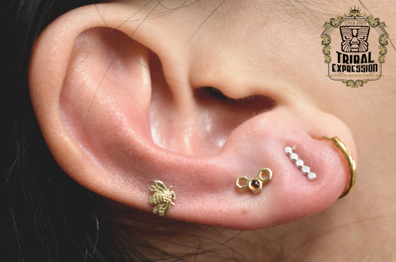 Helix and Lobe pierced with 14k Yellow Gold Bee and Honeycomb Threaded Ends