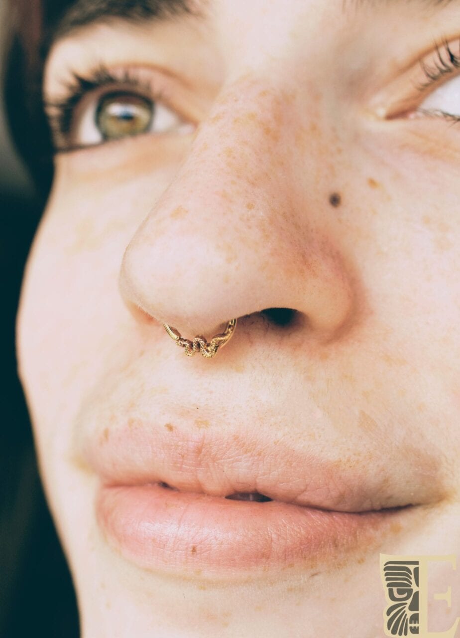 Snake Septum Septum pierced with a 16g 14k Yellow Gold BodyGems Snake Seamring
