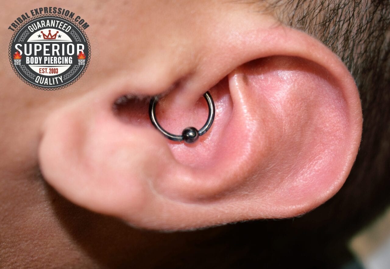Daith piercing with a 16g Tribal Expression Niobium captive bead ring