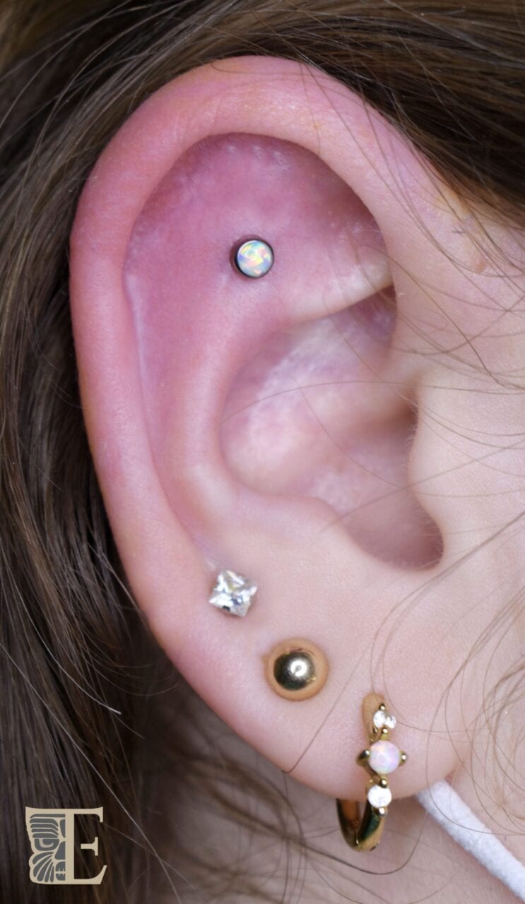 Flat piercing with a Tribal Expression 4mm titanium opal threadless end