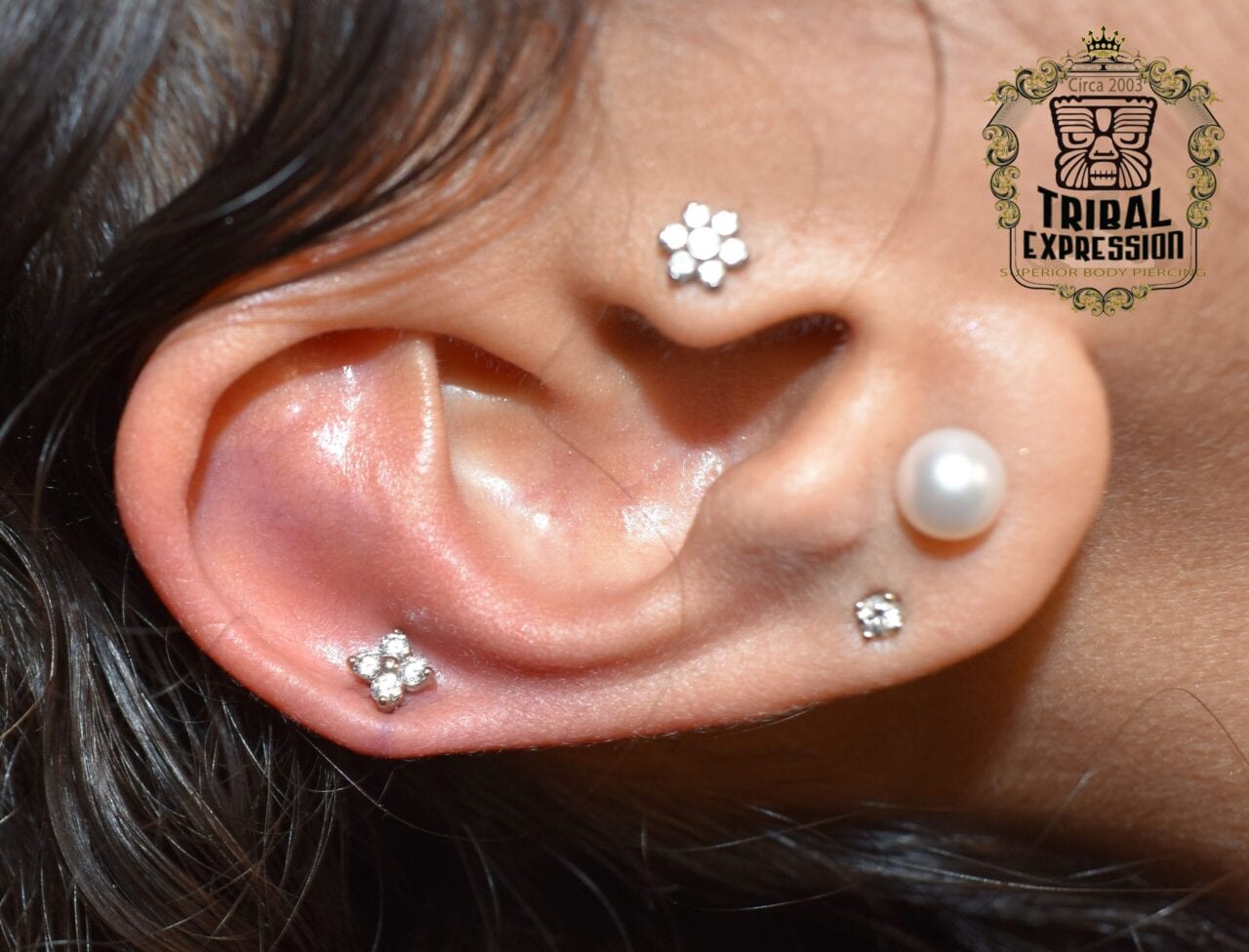 Side-profile close-up of a helix piercing featuring a Tribal Expression–made 14k yellow gold disc end, professionally placed in the upper ear cartilage in Calgary