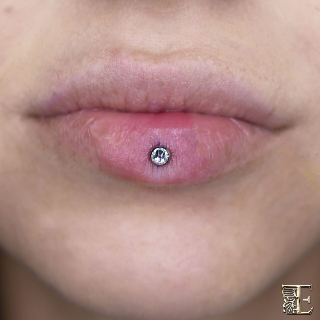 Ashley Piercing with Titanium CZ Bead – Forward-Facing Lip Piercing by Tribal Expression Calgary Forward-facing close-up of an Ashley piercing (inverse vertical labret) centered on the lower lip with a titanium cubic zirconia bead, professionally done at Tribal Expression in Calgary