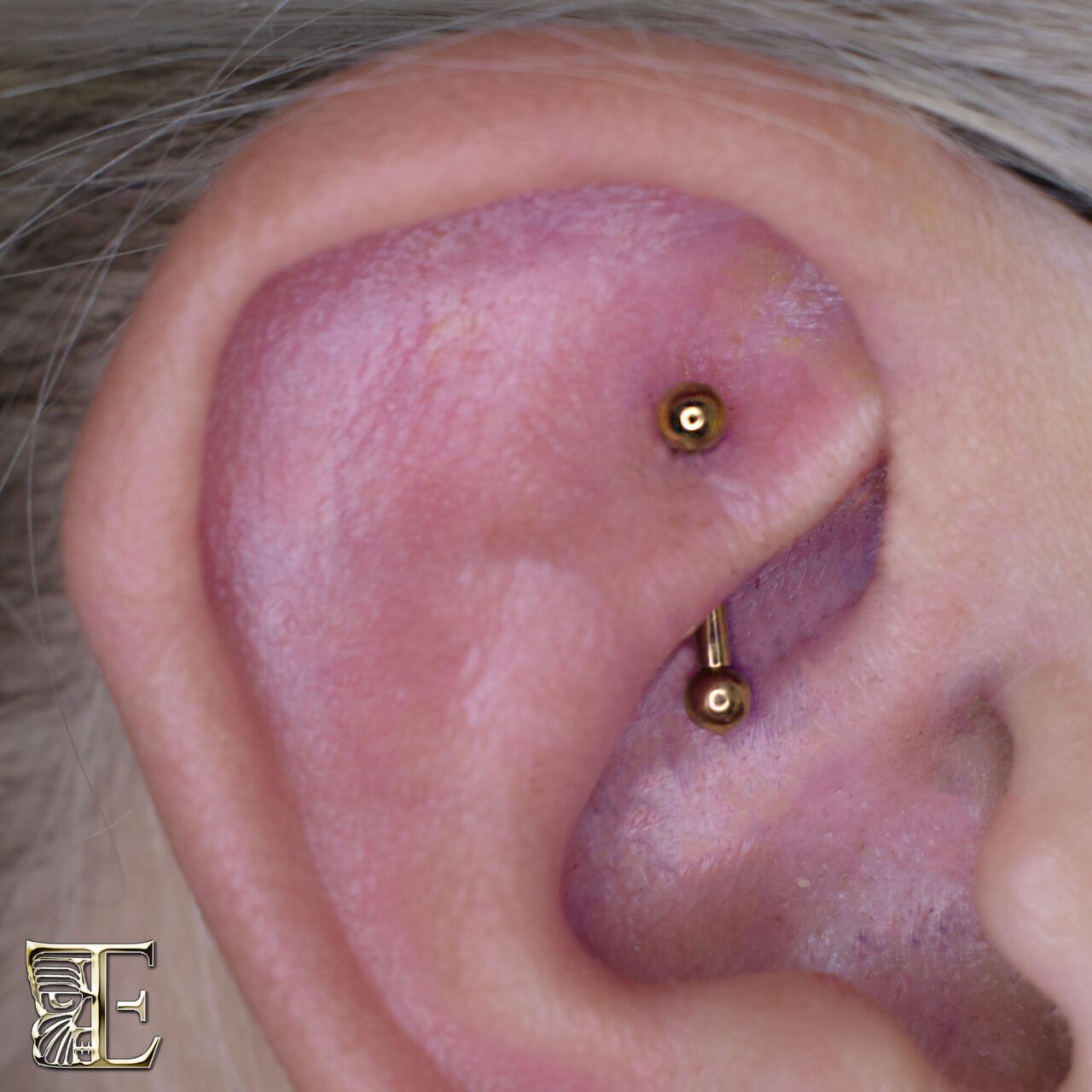 EM-tribal-rook-005 Rook piercing by Emery with a Tribal Expression titanium curved barbell anodized yellow