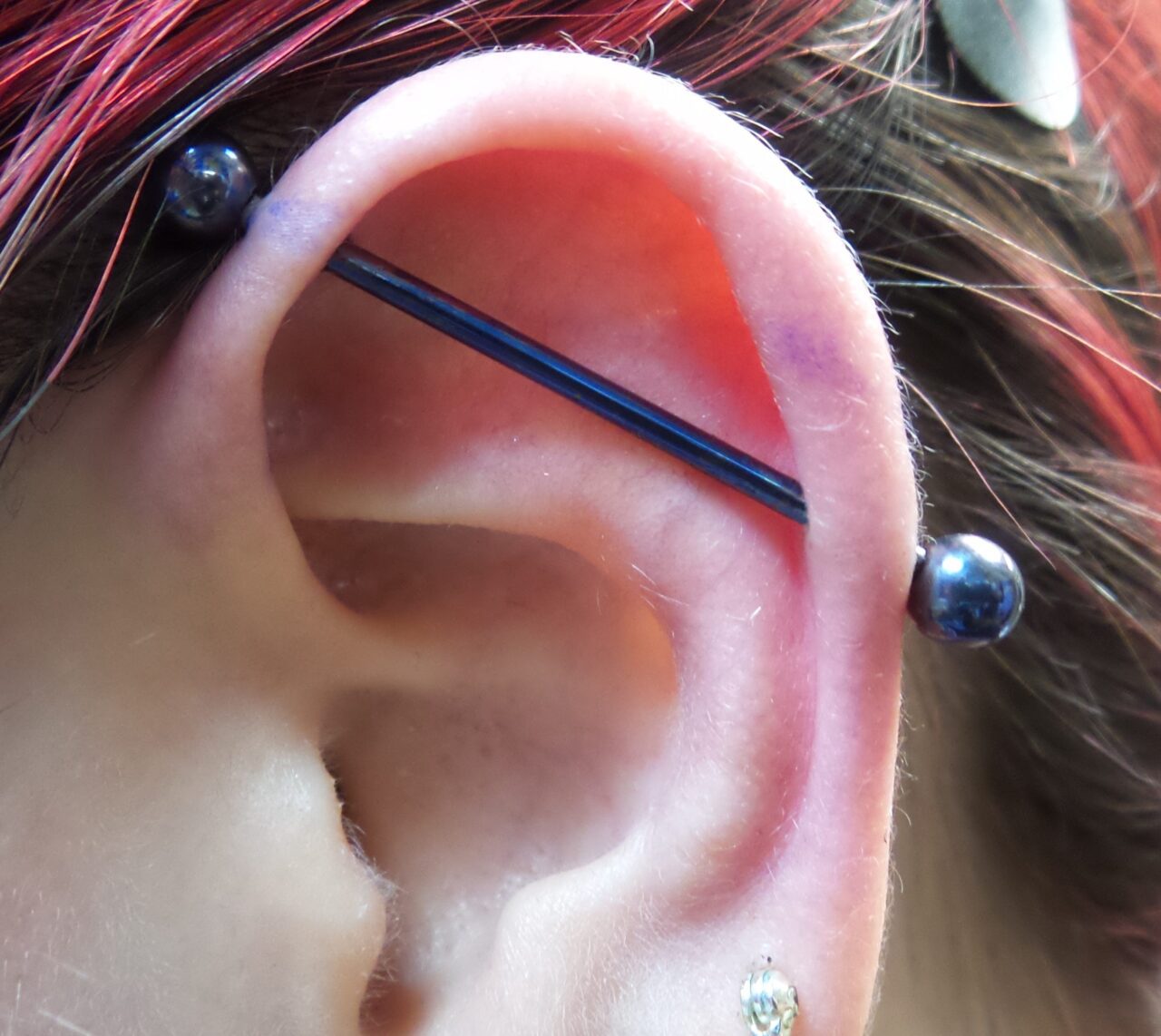 Side-profile close-up of an industrial piercing featuring a straight blue anodized titanium barbell, professionally placed through the helix at Tribal Expression in Calgary
