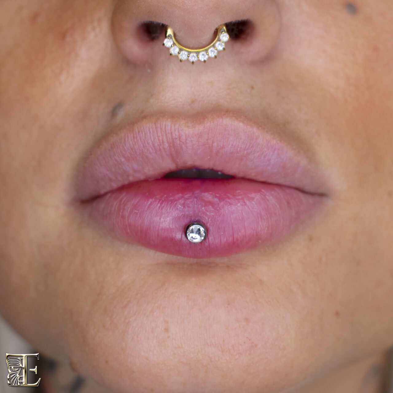 Ashley Piercing with Stunning Septum Combo – Facial Piercing Set by Tribal Expression Calgary Forward-facing close-up of a beautiful Ashley piercing on the lower lip paired with a stunning, well-centered septum piercing, both done with high-quality jewelry made at Tribal Expression in Calgary